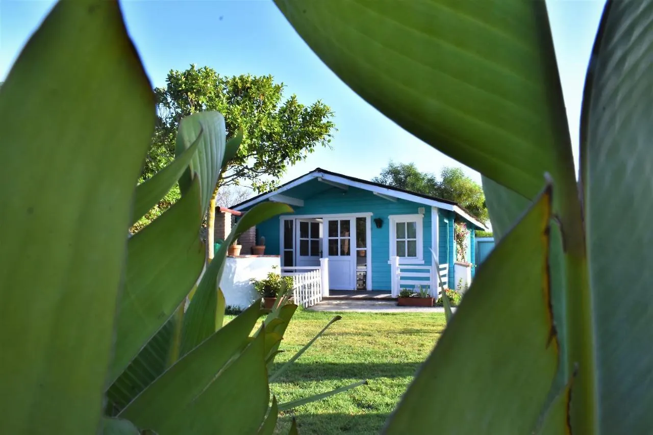 Holiday park Kontiki Bungalows El Palmar El Palmar